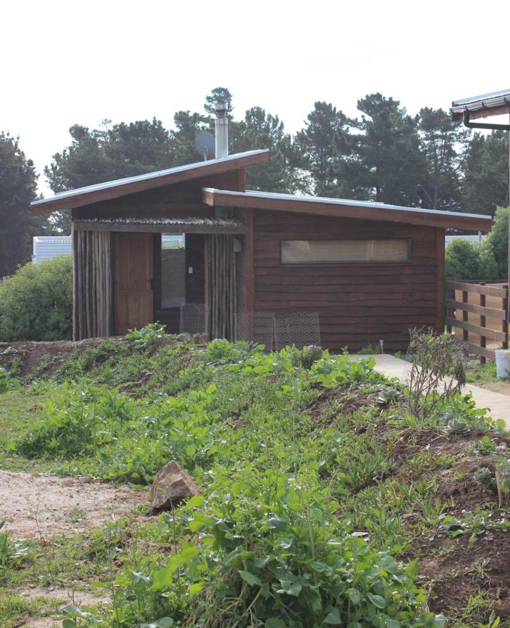 Cabanas Grulla Pichilemu Εξωτερικό φωτογραφία