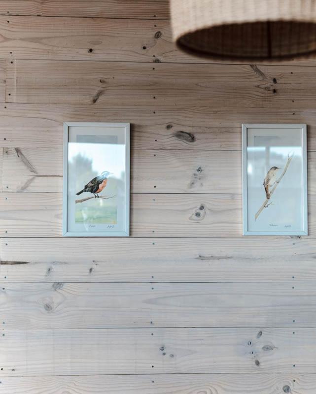 Cabanas Grulla Pichilemu Εξωτερικό φωτογραφία