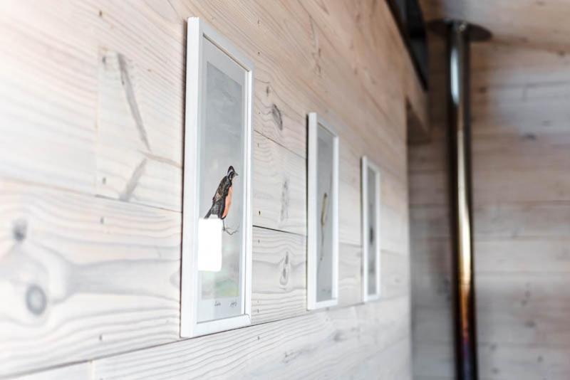 Cabanas Grulla Pichilemu Εξωτερικό φωτογραφία