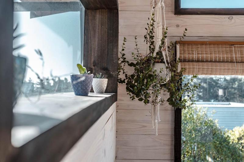 Cabanas Grulla Pichilemu Εξωτερικό φωτογραφία